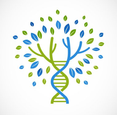 DNA ağaç yaprakları ile