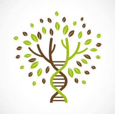 DNA ağaç yaprakları ile