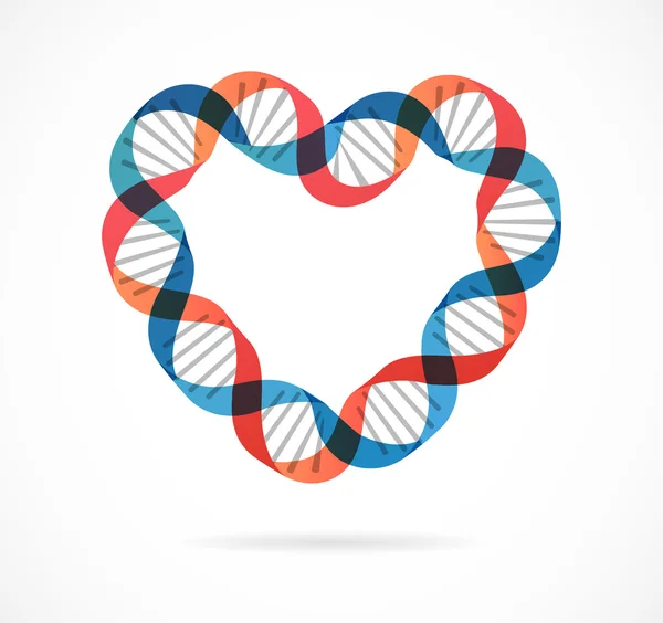 Hart vorm Dna — Stockvector