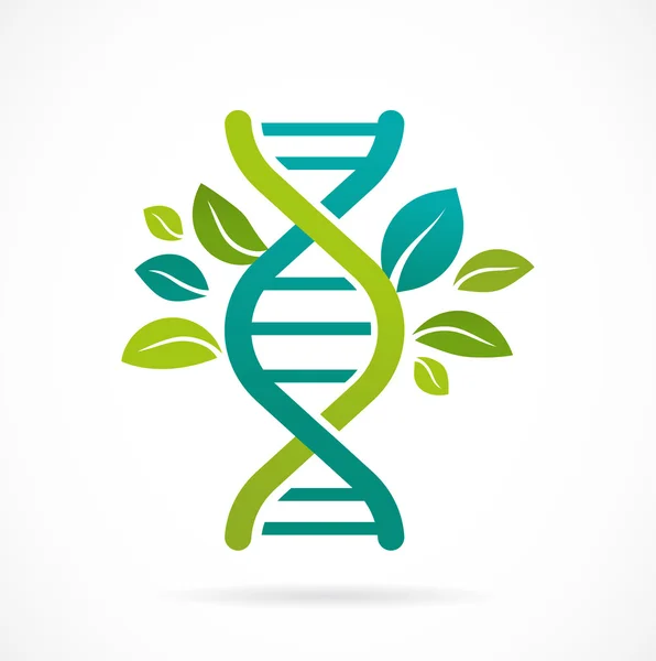 DNA tree with leaves — Stock Vector