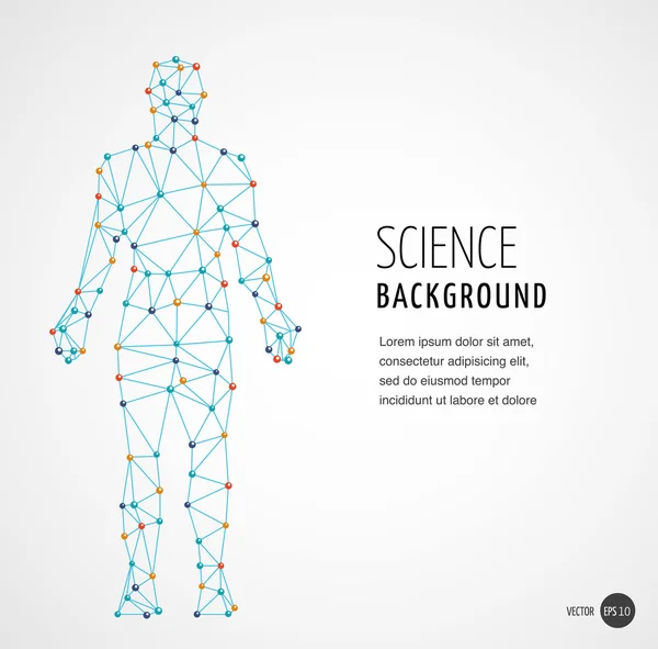 Structure moléculaire de l'ADN humain — Image vectorielle