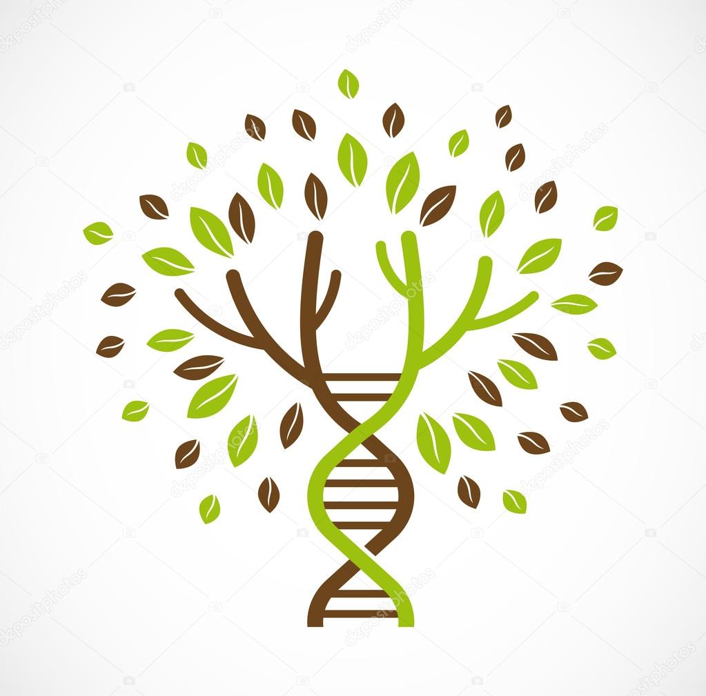 Генетика деревьев. ДНК дерево вектор. Логотип дерево ДНК. Дерево иконка. Листочки дерева иконка.