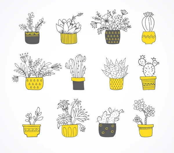 Mignon ensemble de cactus dessiné à la main — Image vectorielle