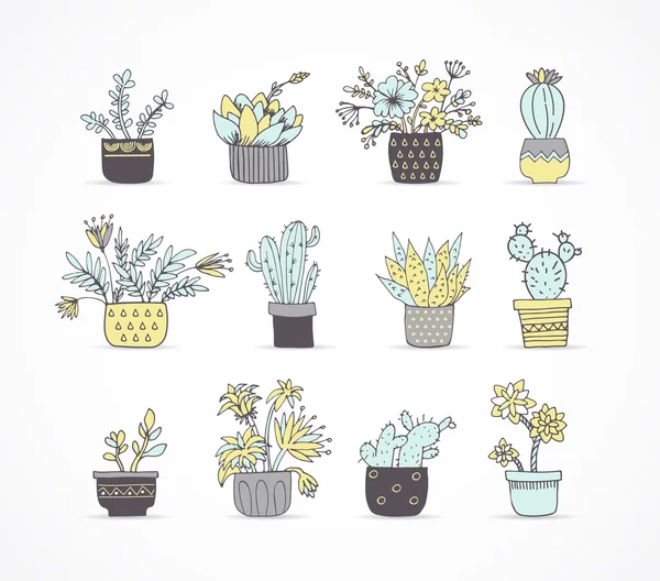 Lindo conjunto de cactus dibujado a mano — Vector de stock