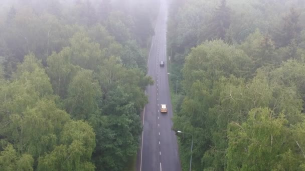 Volando Sobre Bosque Nublado Con Una Carretera Que Atraviesa Temprano — Vídeo de stock