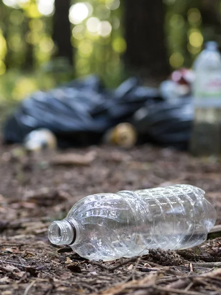 Plastflaska Kvar Skogen Miljöförstöring Och Medvetenhet — Stockfoto