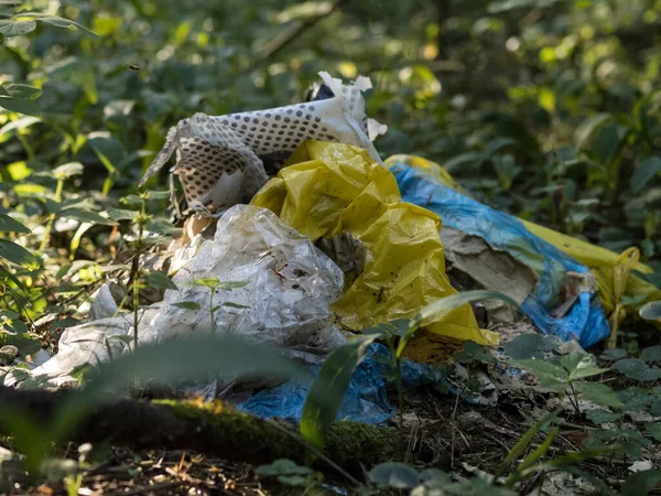 Plastavfall Som Dumpas Skogen — Stockfoto