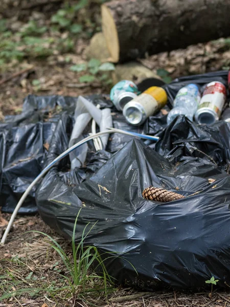 Svart Plastpåse Full Avfall Dumpas Skogen — Stockfoto