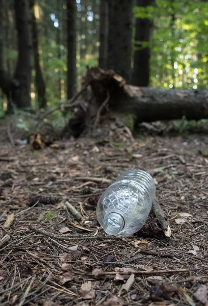 Plastflaska Kvar Skogen Miljöförstöring Och Medvetenhet — Stockfoto