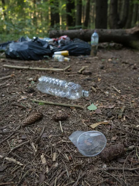 Plastflaska Plastmugg Och Annat Avfall Som Finns Kvar Skogen — Stockfoto