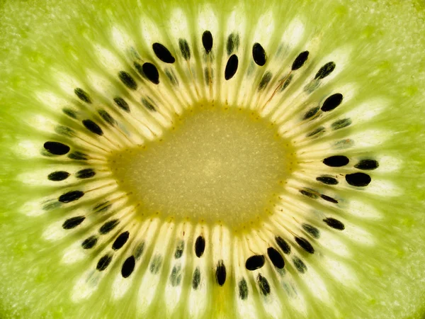 Kiwi — Stock Photo, Image