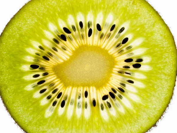 Kiwi — Zdjęcie stockowe