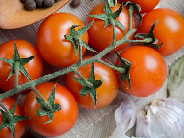 Ingredients — Stock Photo, Image