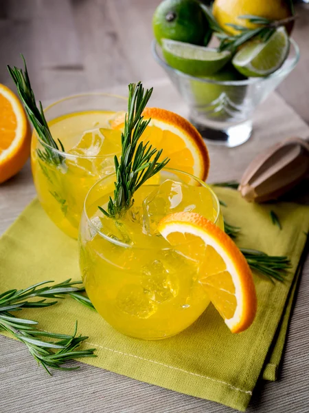 Gin a oranžová — Stock fotografie