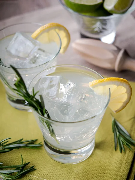 Gin and tonic — Stock Photo, Image