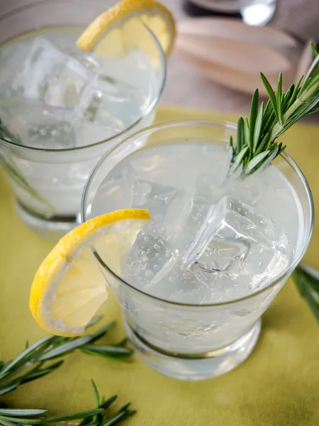 Gin Tonic — Stockfoto