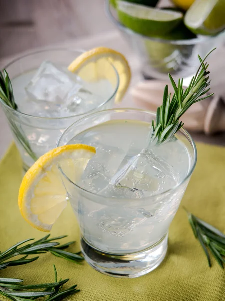 Gin and tonic — Stock Photo, Image