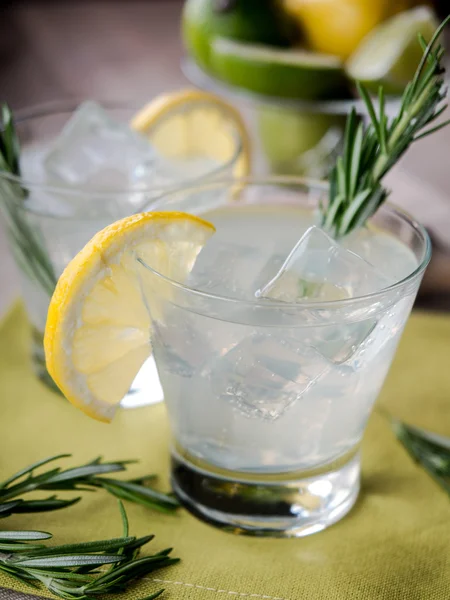 Gin s tonikem — Stock fotografie