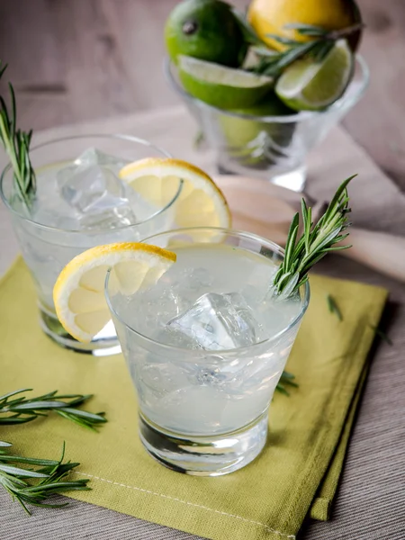 Gin Tonic — Stockfoto