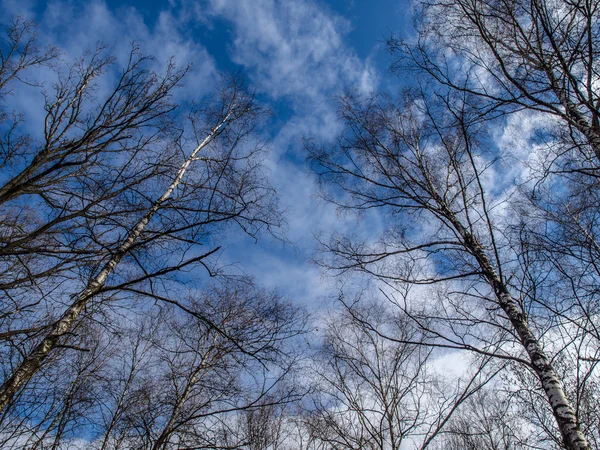 Våren sky — Stockfoto