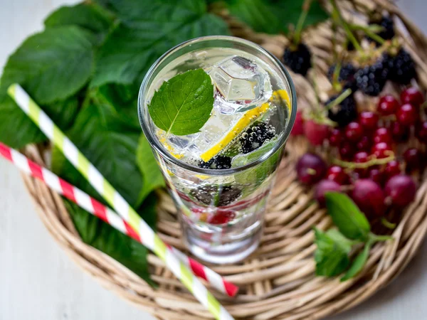 Berry detox drankje — Stockfoto