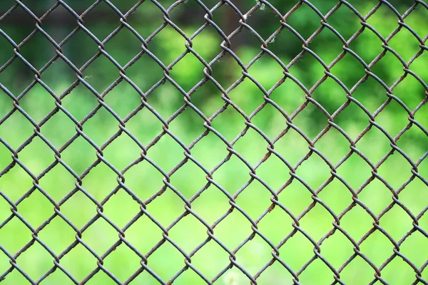 yeşil çim zemin üzerine sıva