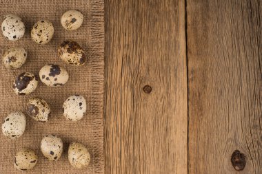 Bıldırcın yumurta ahşap arka plan doku