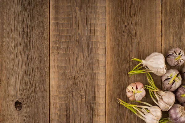 Проросший чеснок на старом деревянном столе — стоковое фото