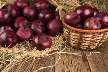 soğan çiftlik çuval bezi