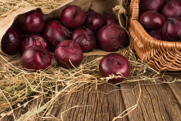 Onion farm burlap — Stock Photo, Image