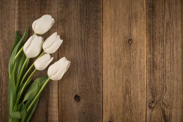 Tulipanes blancos sobre fondo rústico de madera —  Fotos de Stock