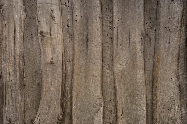 高解像度の古い自然木のテクスチャ — ストック写真