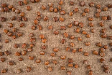 Jüt çanta arka plan üzerinde doğal, kırılmamış fındık. Üstten Görünüm.