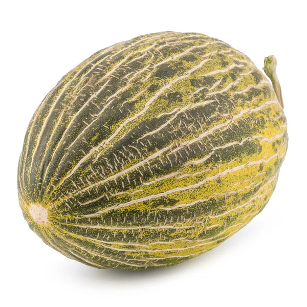 One Fresh Piel de sapo melón sobre fondo blanco . —  Fotos de Stock