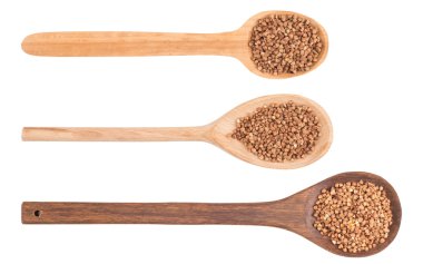 tahta kaşık üzerinde beyaz arka izole buğday tohumu