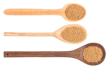 Beyaz arka plan üzerinde ahşap Kepçe, hardal tohumu