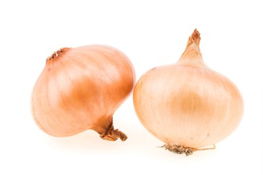 Beyaz arka plan üzerinde altın soğan sebze çiçek soğanı. 