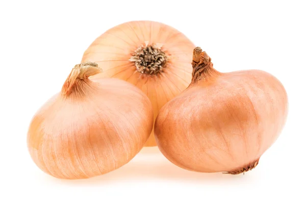Fresh onion bulbs isolated on white background. — Stock Photo, Image