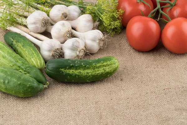 Cucumbers, tomatoes, garlic and dill on the background of old sa — Stock Photo, Image