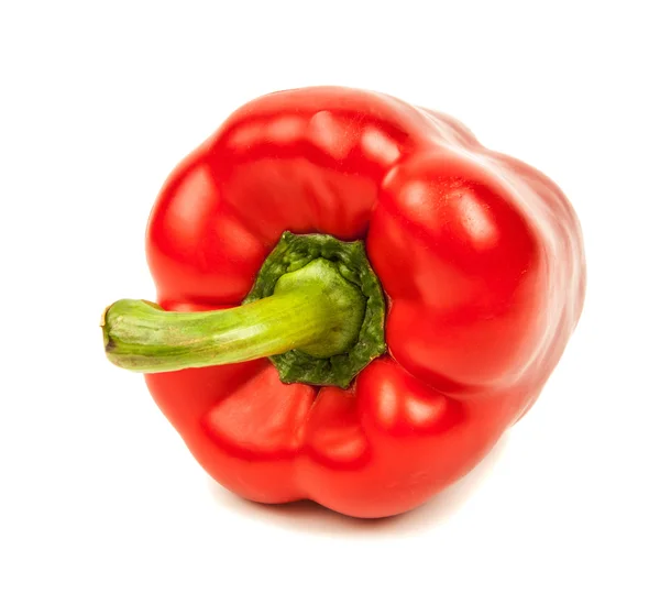 Pepper isolated on white background — Stock Photo, Image