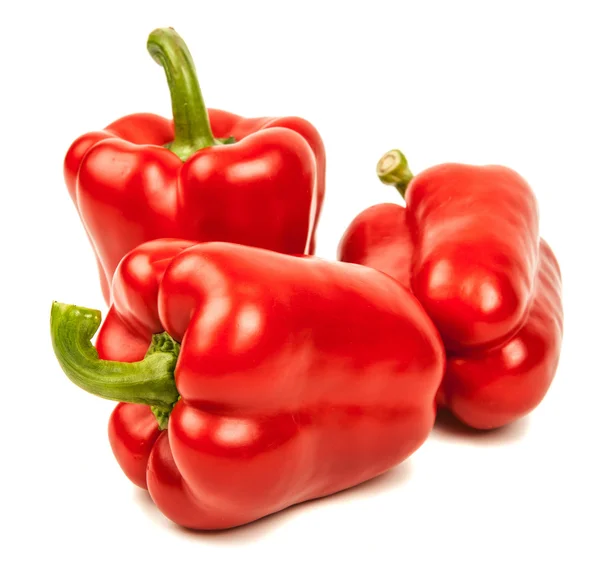 Červená paprika izolované na bílém pozadí Stock Fotografie