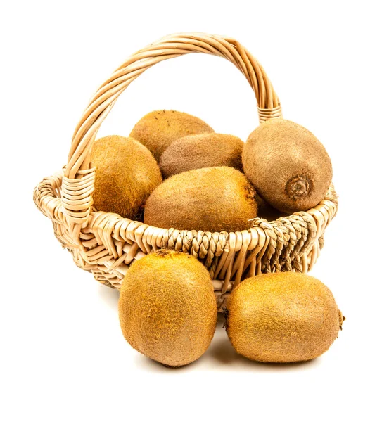 Kiwi fruits — Stock Photo, Image