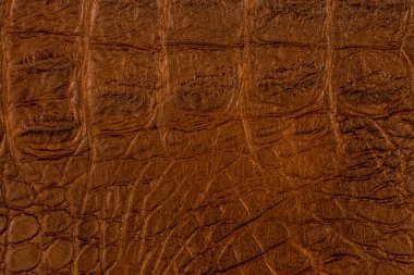 Timsah derisi dokusu