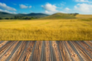 Bulanık alan tarım arka plan olarak buğday. Foregr içinde