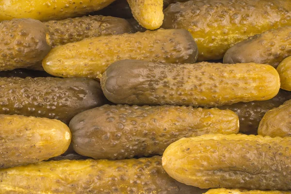 El gran grupo de pepinos en escabeche — Foto de Stock