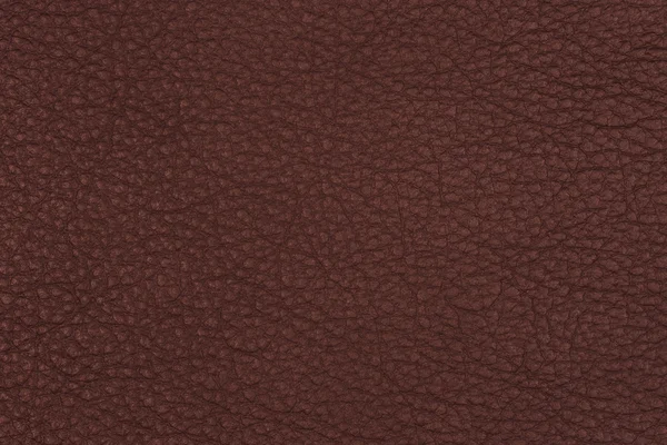 Cuir brun texture gros plan — Photo
