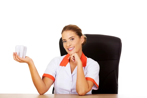 Female dentist holding tooth model and sitting behind the desk — Stock Photo, Image