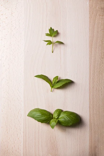 Hojas de menta y albahaca sobre fondo de madera —  Fotos de Stock