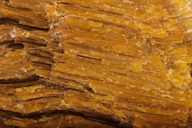 Artalanları tyger göz gem