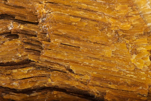 Artalanları tyger göz gem